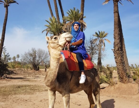 Tour Dromadaire Palmeraies Marrakech